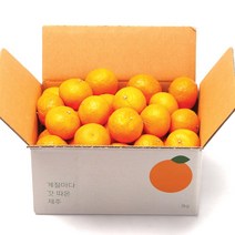 깨비농원 제주 카라향, 1box, 카라향 2.5kg 소과