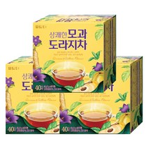 담터 모과도라지차 40Tx3개 /전통차/도라지차/티백차
