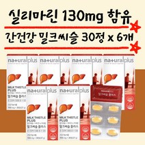 간보호제 실리마린 밀크씨슬 900mg 30정 6개