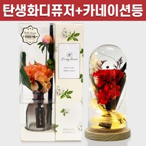 탄생화 디퓨저 선물 세트 9월 탄생화 다알리아 피치 + 카네이션 무드등 부모님 선생님 스승의날 엄마 장모님 생신 생일 집들이 선물 실내 디퓨저 실내 방향제 디퓨져, 레몬그라스, 레드, 500ML