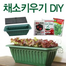 [딜]베란다에서 간편하게~채소키우기! 채소DIY세트, 채소키우기(DIY-중) 부추