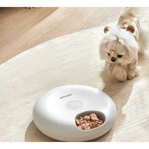 스마트급식기 고양이 자동 급식기 강아지사료 급수기, 화이트