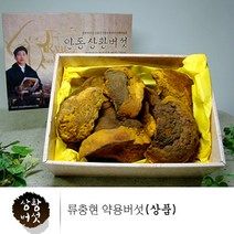 상황버섯 약용버섯 목질진흙버섯 원물 상황버섯 상품 차 물 무농약 친환경인증 먹는방법 효능 추천 경북 안동, 3박스, 500g