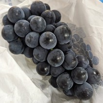 고당도 제철 특품 남원 대부도 송산 상주 캠벨포도, 1kg(2-5), 1개, kg