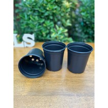 이색포트 12cm 롱 검정) 비닐포트 학습용 모종화분 미니화분 재배분 컵포트 12구연결트레이