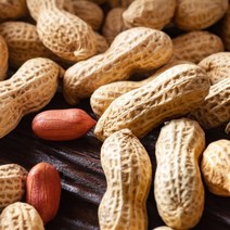 올해수확 국산 햇 피땅콩 껍질땅콩, 피땅콩 1kg, 1개