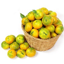 첫출하 제주 노지감귤 3kg, *I591_제주노지감귤 3kg(2S-M)/로얄소과, 1개