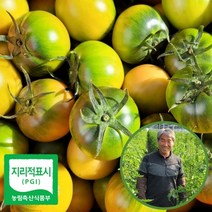 [대저농협인증]대저 짭짤이 토마토 2.5kg/당일수확/당일발송, 대과(L과)2.5kg(대저토마토)