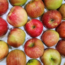 햇사과 홍로/시나노골드 산지직송, 황금사과 시나노골드(가정용/못난이/흠과), 3kg 꼬마과~소과 15~18과
