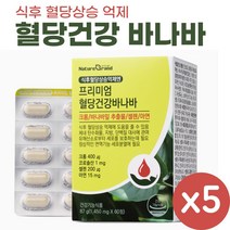 식후 혈당 상승 억제 엔 프리미엄 혈당건강 바나바 리프 영양제 바나바잎 추출물 코로솔산, 5개, 60정