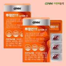 GNM자연의품격 루테인11 500mg 30캡슐 2박스 2개월분, 상세페이지 참조, 상세페이지 참조