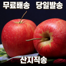 농부파파 경북 영천 껍질째먹는 맛있는 꿀사과 햇부사 흠집 못난이 흠과 가정용 추천 5kg 10kg 한박스, (흠집) 5kg 추천 거의정품(11-15과)