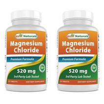 Best Naturals Magnesium Chloride 베스트 내추럴스 염화 마그네슘 520mg 120정 2병