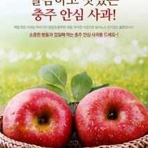 충주사과 GAP 저탄소인증 껍질째먹는사과 햇사과 아리수사과5kg 23/25개 사과다이어트 성인병예방, 단품, 단품
