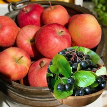 100%국내산 사과+아로니아즙 100ml 30포, 배 도라지즙 100ml30포