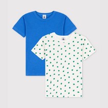 PETIT BATEAU [빠른배송] 남아 팔미토&솔리드 티셔츠 2PACK