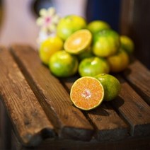 제주 하우스 감귤 1kg-꼬마(2S 미만), 단품