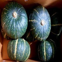 (가락시장까망콩)달고 싱싱하고 맛잇는 단호박 5kg