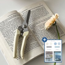 메인홈 원예 꽃꽂이 가위 가드닝 조경 가지치기 전지가위 - 직선가위