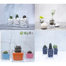 화분월드 인테리어 천연 백자갈 흑자갈 칼라스톤 색모래, 칼라스톤(초록)(500g)