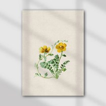 아망떼 허브스 옥스포드 가리개/바란스커튼 34X40_(3style)