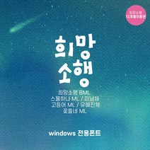 다온폰트 타이핑치는 캘리그라피 희망소행 1년 쿠폰(윈도우전용), DAON HUIMANG SOHAENG / 12