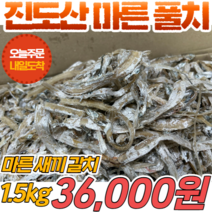 [당일출고] 국내산 전라남도 진도산 풀치 1.5kg 마른 새끼 갈치, 1개