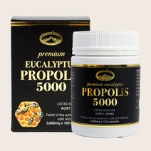호주 네이쳐스탑 프로폴리스 5000mg 120정