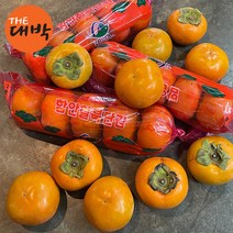창원 진영 함안 단감 10kg 햇단감, 1box, 단감(중과/60과 내외) 10kg