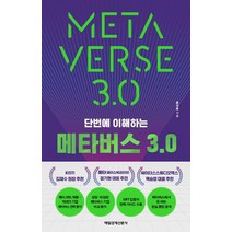 메타버스 3.0, 홍성용 저, 매일경제신문사