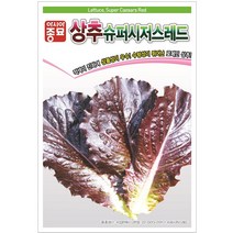 [모종심는아빠] 붉은색이 더욱 선명한 로메인 상추 슈퍼시저스레드 씨앗 1000립