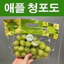 아삭아삭 씨없는포도 애플청포도 선물용으로좋은 꿀포도 900g 내외, 1개