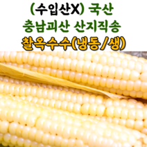 산지직송 충북 괴산 대학 찰 옥수수 냉동옥수수 생옥수수 삶은옥수수, 냉동_삶은찰옥수수_350g 이상 17cm이상(3입), 5팩