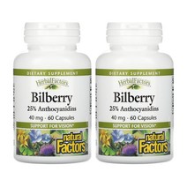 1+1 네추럴팩터스 빌베리 추출물 40mg 60캡슐 안토시아닌 안토시아니딘
