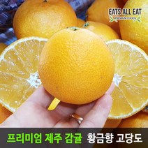 이츠올릿 제주 고당도 황금향 선물용 5kg 중대과 17-25과 제주도 감귤 택배 한라봉 천혜향 레드향 밀감