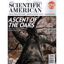 Scientific American (월간) : 2020년 08월