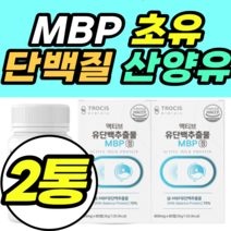MBP 초유 단백질 산양유 비타민C 대두레시틴 락토페린 WPC WPI 저분자 콜라겐 유신 프롤린 완두단백분말 제품 추천 가격 정품 BCAA 필수아미노산