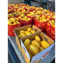 성주꿀참외 못난이참외 - 2kg 3kg 5kg, 1개