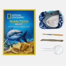 초등학교 저학년용 상어치아 화석발굴키트 과학놀이 광물캐기 공룡뼈 흥미유발 집중력