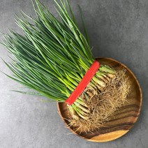 국내산 명품 기장 쪽파 흙쪽파 1단, 기장 쪽파 1단(약 1kg내외)