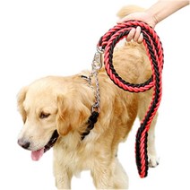 선데이몽키 세트(목줄+리드줄) 대형견 중형견 개줄 체인 산책줄, 그린/네이비 L