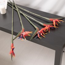 바보사랑 뉴극락조가지 75cm 조화 인테리어 소품 장식 FAIBFT.플라워트리