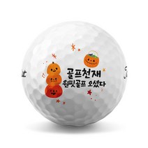 할로윈 캐릭터 3피스 커스텀 골프공 선물 인쇄 추천6구, A, 브리지스톤 투어 B XS 6구 화이트