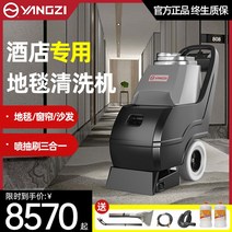 비쎌 스팀 청소기 무선 추천 고압 Yangzi 3-in-1 카펫 청소 기계 상업용 호텔 전용 당구장 소파 및 흡입 올인원, [01] 다기능 DT1 [카펫청소기/대면적 카페트청소]