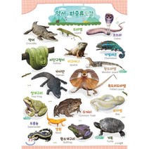 시멘토 학습벽보 학습앱 양서 파충류 도감