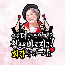 애니데이파티 (청바지-컬러포토) 환갑토퍼 칠순토퍼 생신토퍼 퇴임토퍼 케이크토퍼 주문제작