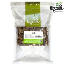 [토종마을]국산 으름 600g, 1개, 상세설명 참조