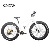 펫바이크 전기펫바이크 전체 탄소 섬유 지방 26er 눈 112s 탄소 완전한 탄소 및, Full white_26er 16size | CHINA