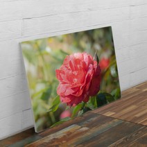 ac077-폼아크릴액자78CmX56Cm_부귀의빨간목단화, 2.재물