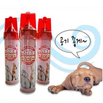 반려동물 산소캔/애견산소통/노령 반려동물/강아지/고양이/816ml 오투랜드, 816ml